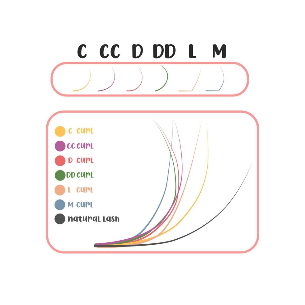 Eyelash extension. False eyelash curl options. Eyelash curl types B, C, D,DD,  CC, l, M 7079472 Vector Art at Vecteezy