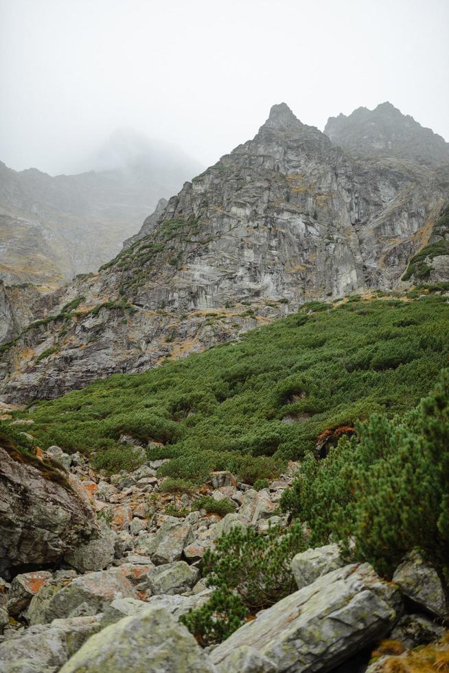 hermosas montañas en polonia foto