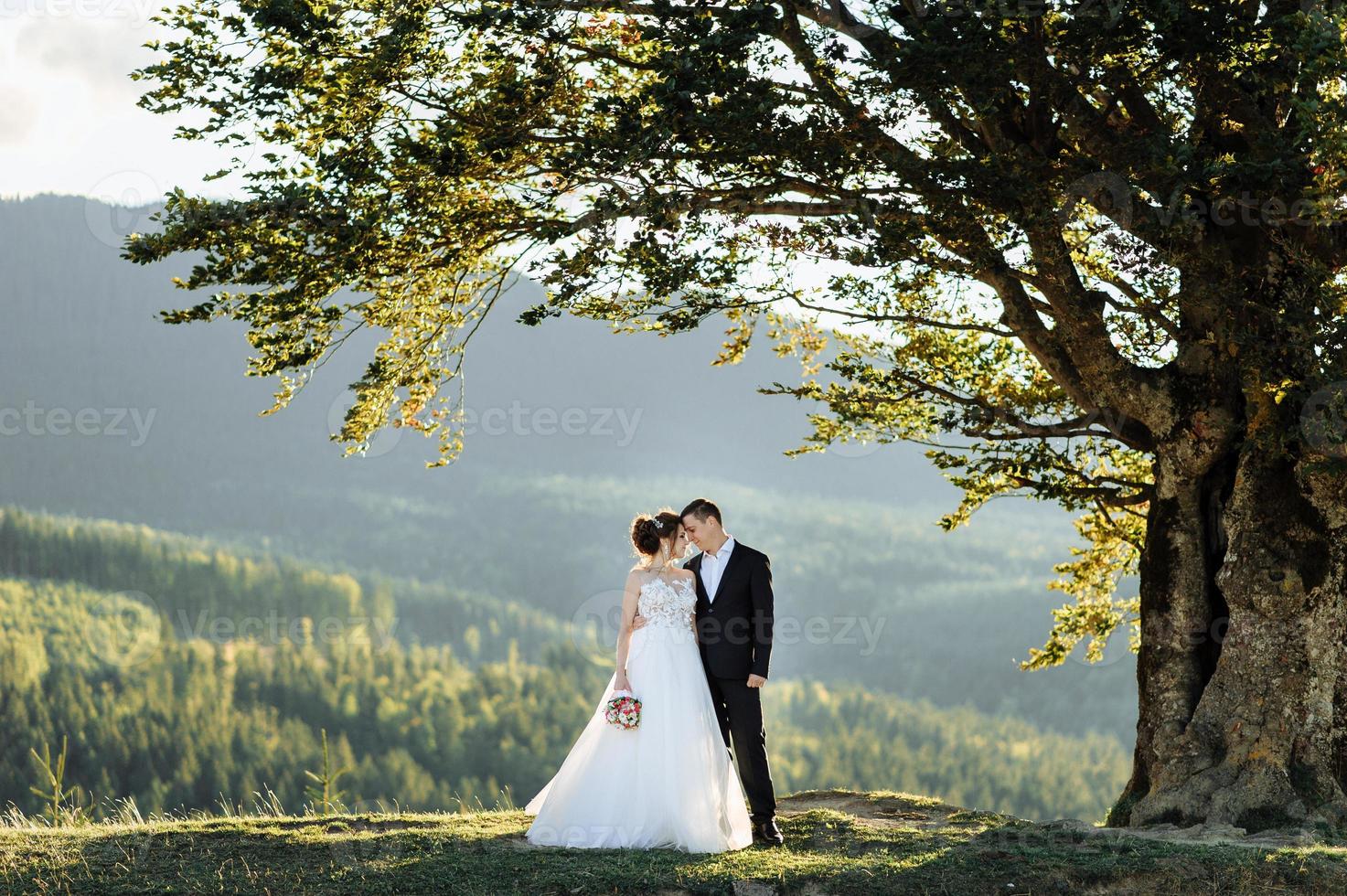 Beautiful bride and groom at the mountains photo