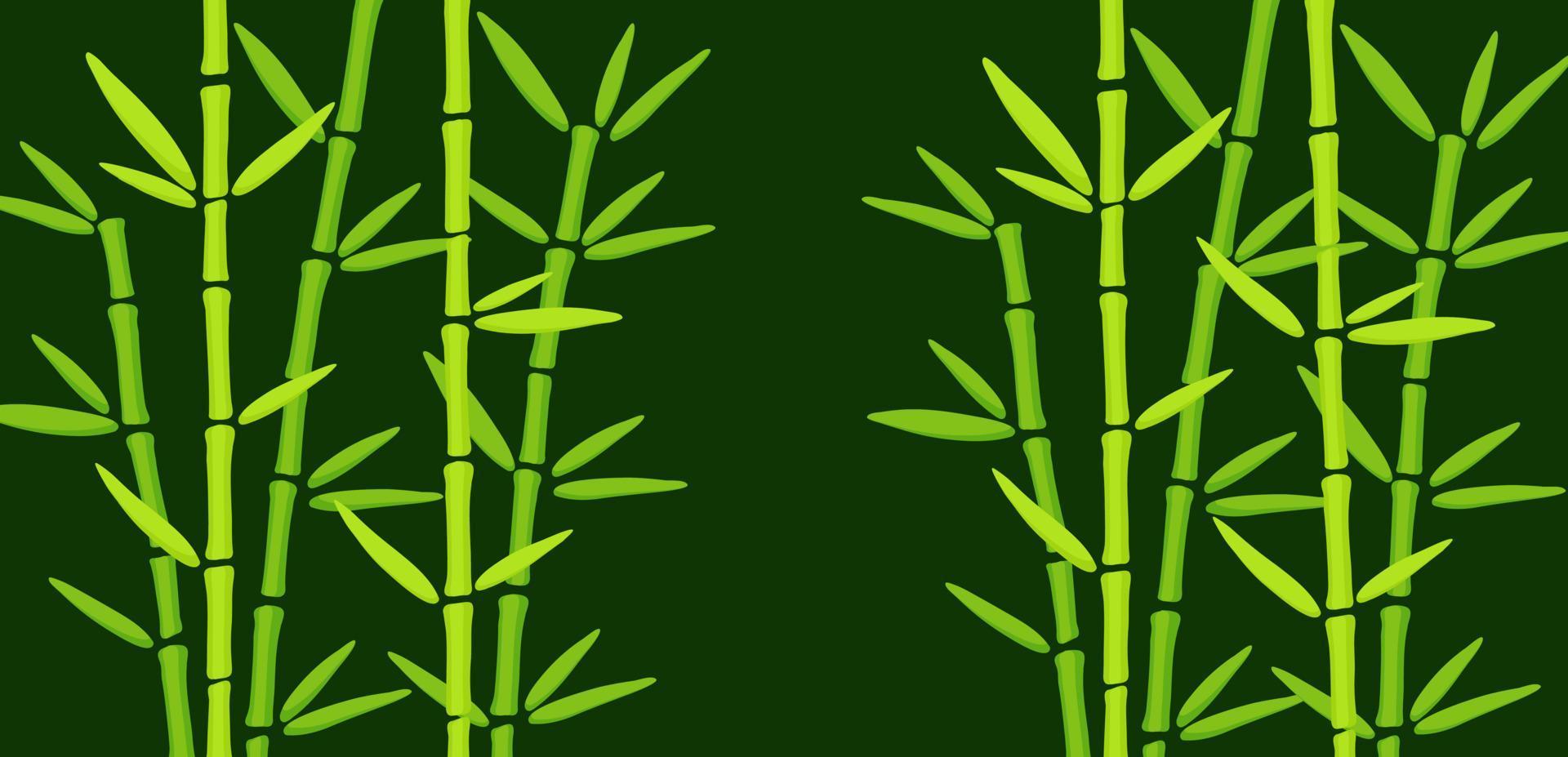 Green Bamboo Grass on Dark Background. Hand Drawn oriental chinese plant vector illustration. Template with copy space