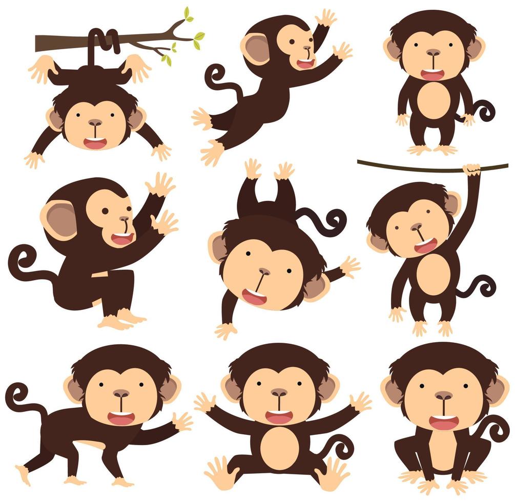 Cute monkey cartoon different poses set vector