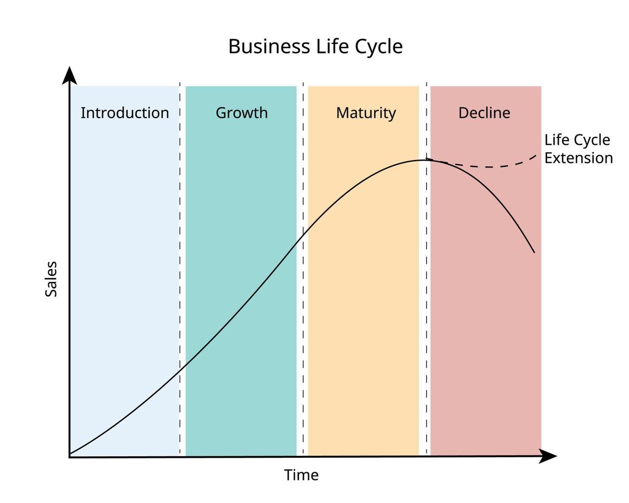 business life cycle follows a product from creation to maturity and decline vector