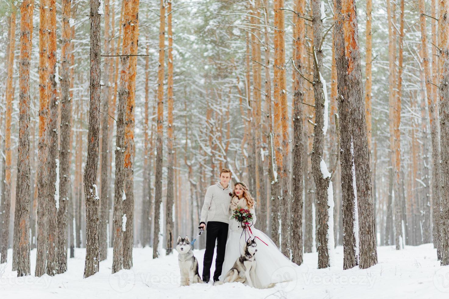 Winter wedding photosession in nature photo