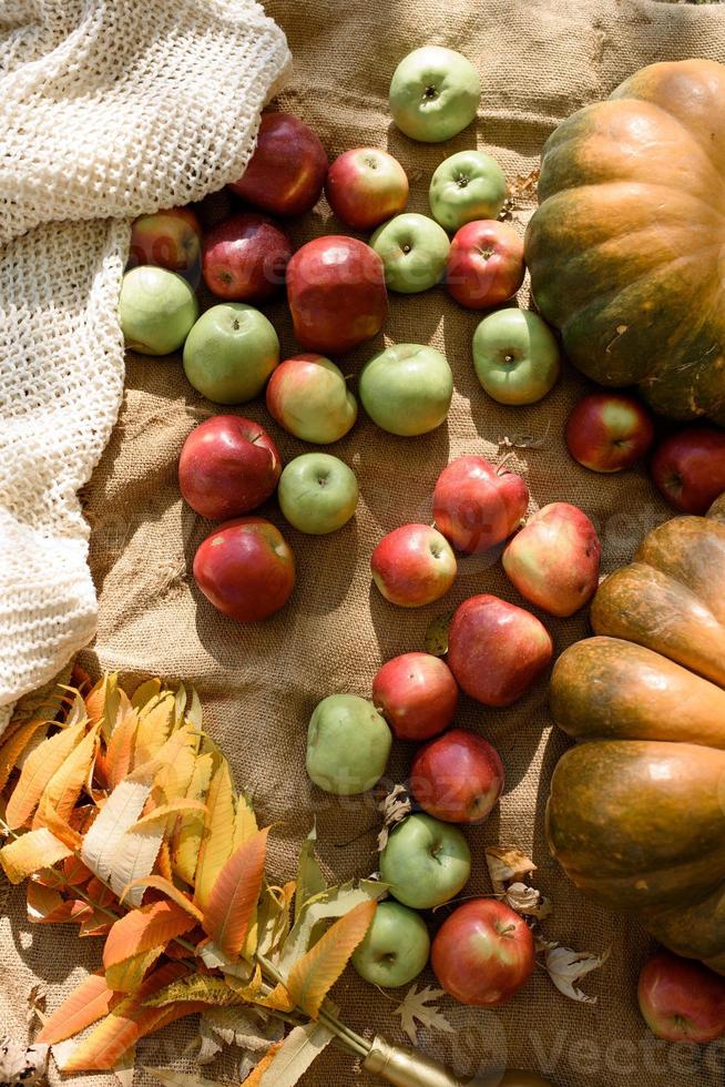 decoración de otoño en el parque. calabazas y manzanas rojas en caja de madera sobre fondo de otoño. otoño. día de Gracias. foto