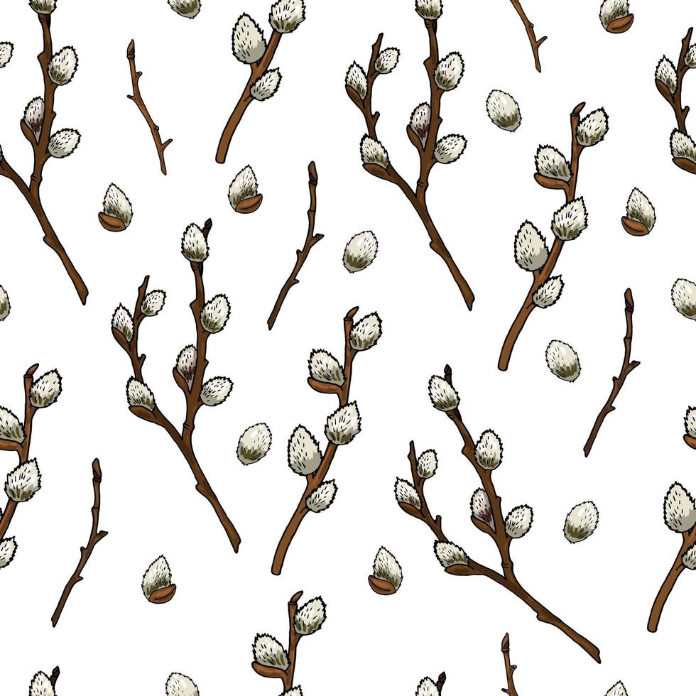 Seamless pattern with willow branches. Endless pattern on white background for your season design vector