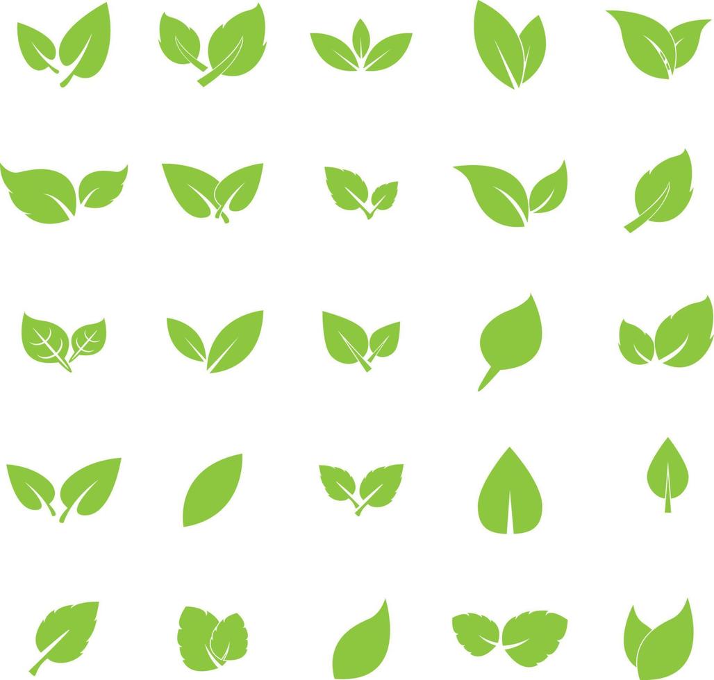 leaf logo icon vector design template