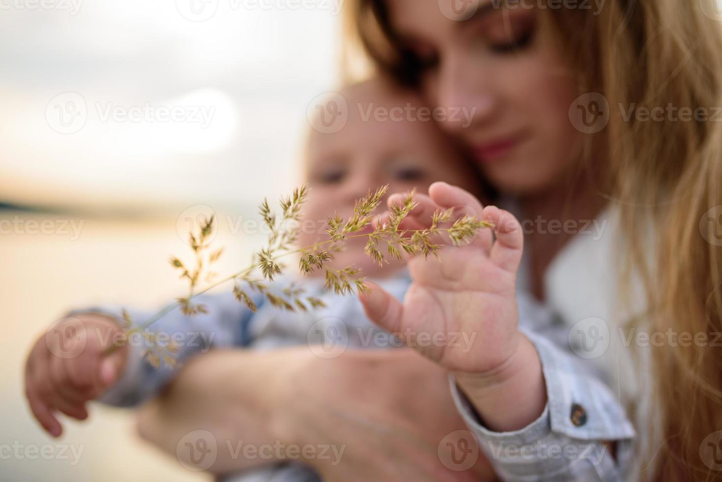 Father and mother lead their one-year-old son by the hand. photo