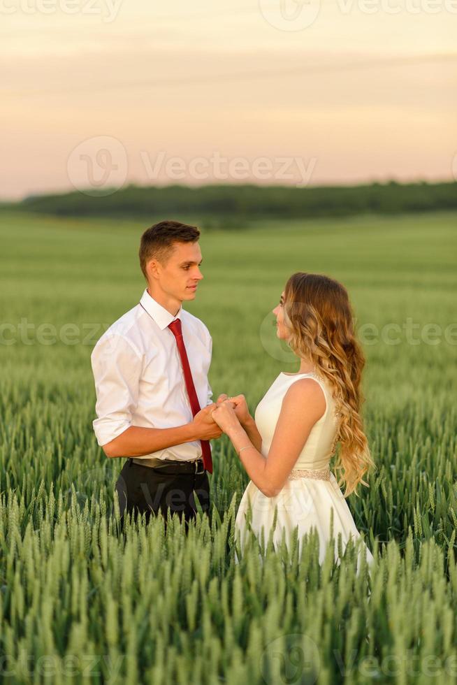 novia y novio en un campo de trigo. la pareja se abraza al atardecer foto