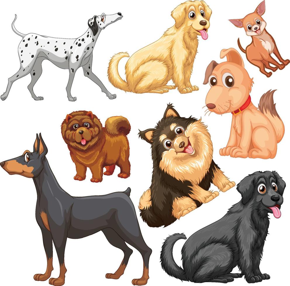 Cute animals cartoon set on white background vector