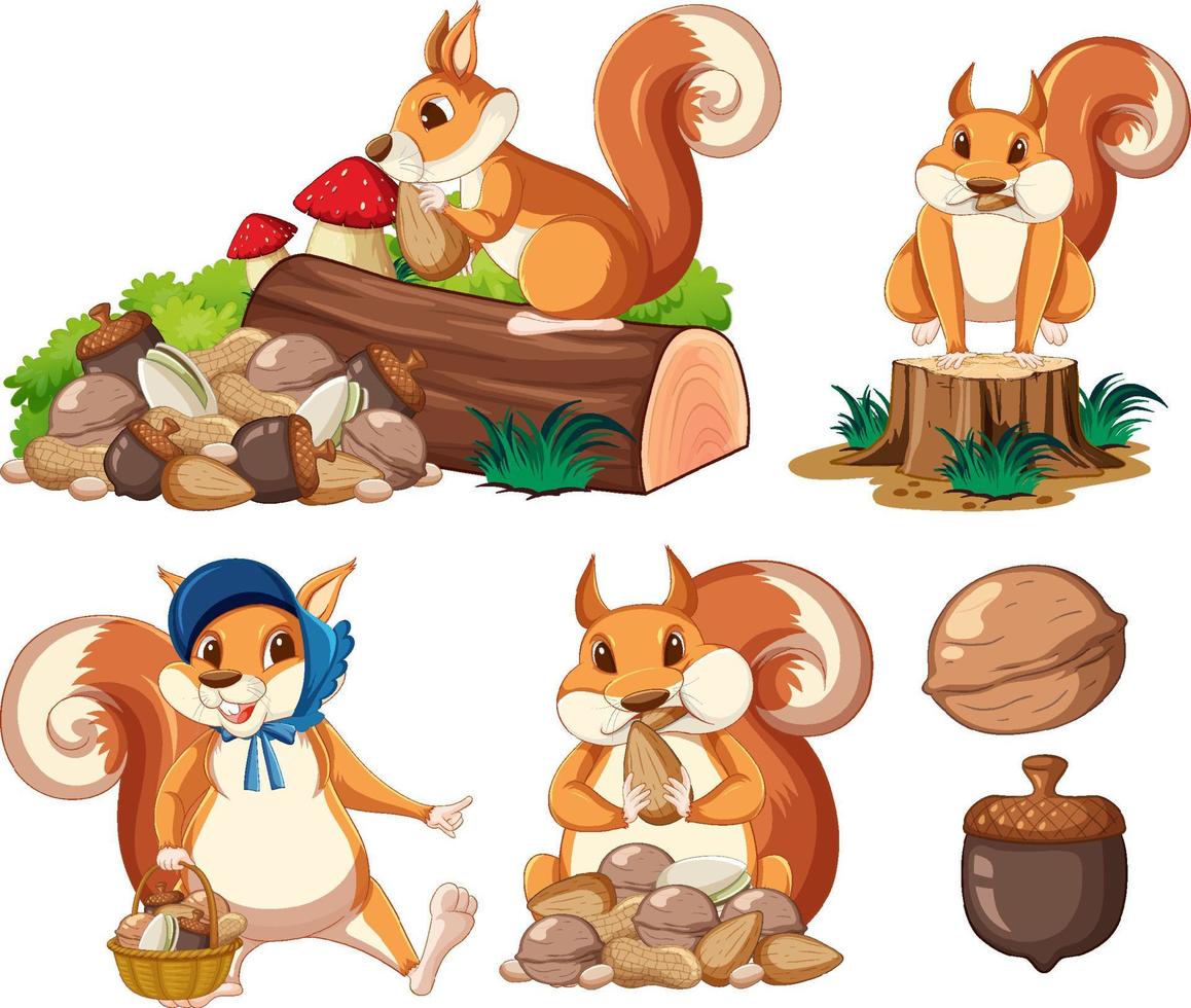 Garden scene with cute squirrel vector