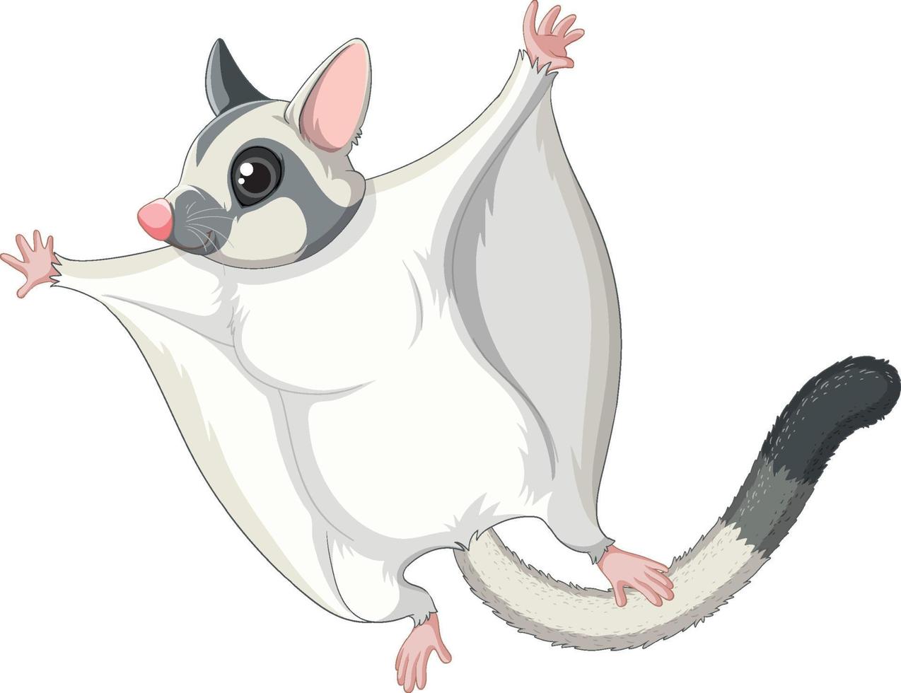 A cute cute sugar glider cartoon character vector