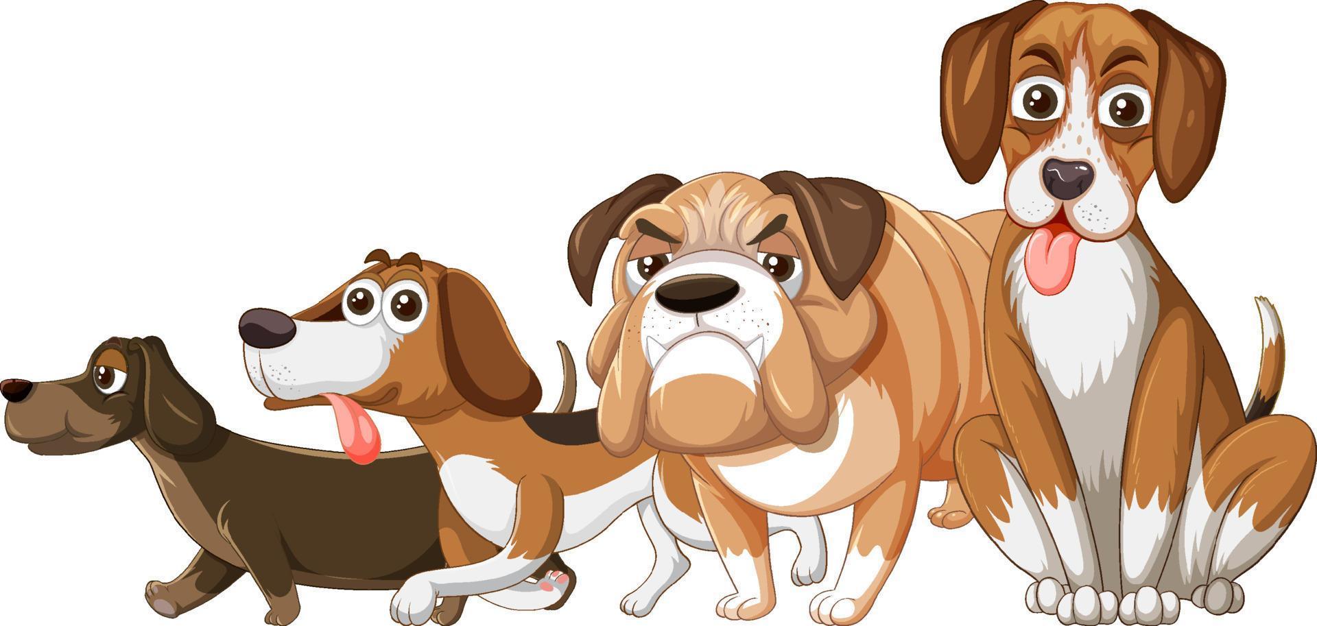 A group of different dog on white background vector