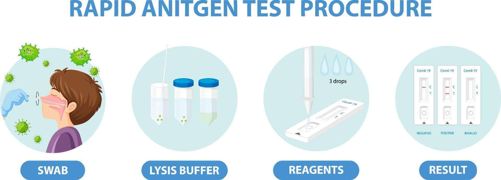 Covid 19 testing with antigen test kit vector