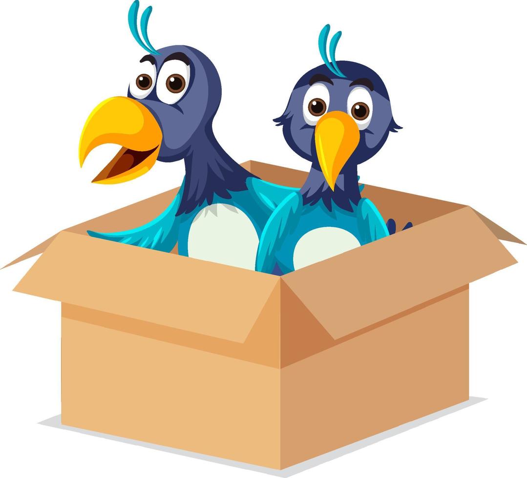 English prepositions with birds in the boxes vector