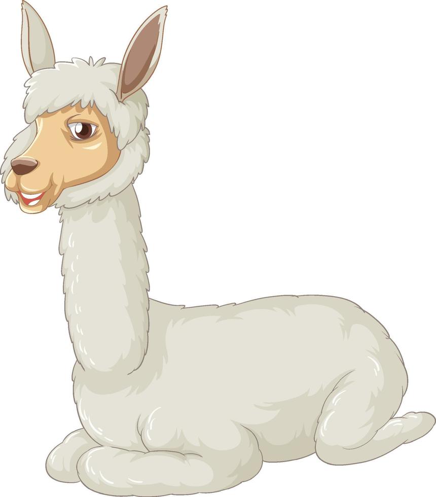 An alpaca on white background vector