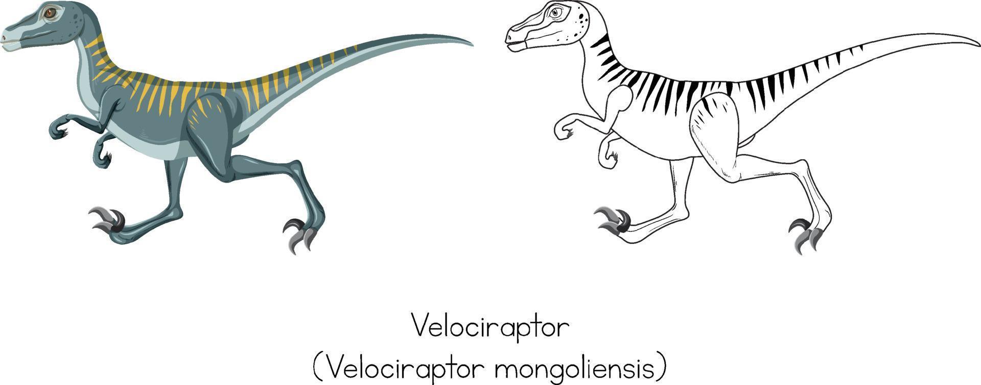 dibujo de dinosaurio de velociraptor 7092804 Vector en Vecteezy dibujo de dinosaurio de velociraptor 7092804 Vector en Vecteezy