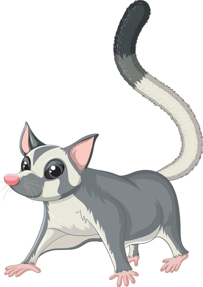 A cute cute sugar glider cartoon character vector