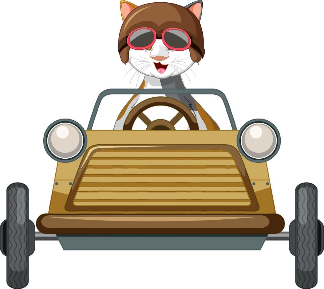 gato de dibujos animados y coche derby de caja de jabón vector