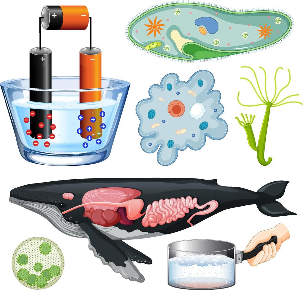 Set of equipment needed for science experiment vector
