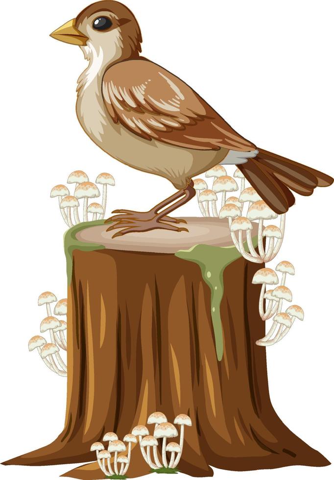Sparrow standing on stump vector