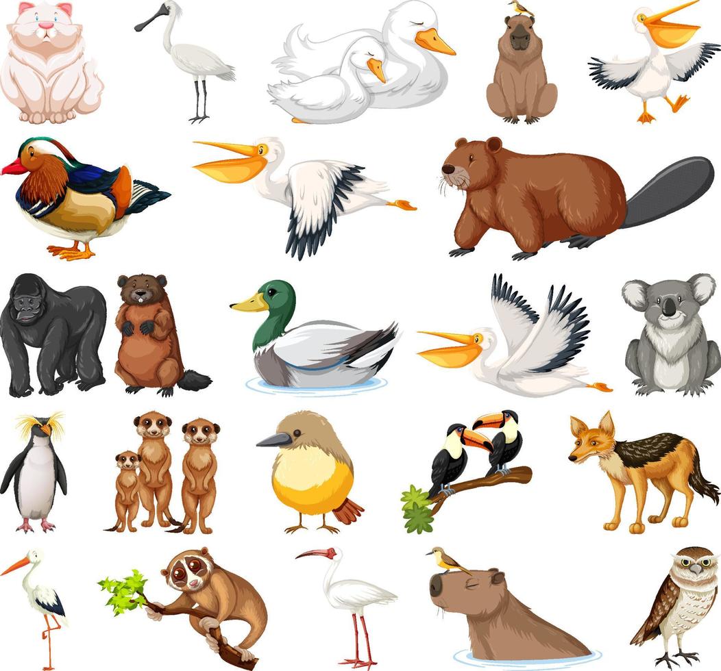 Different kinds of animals collection vector