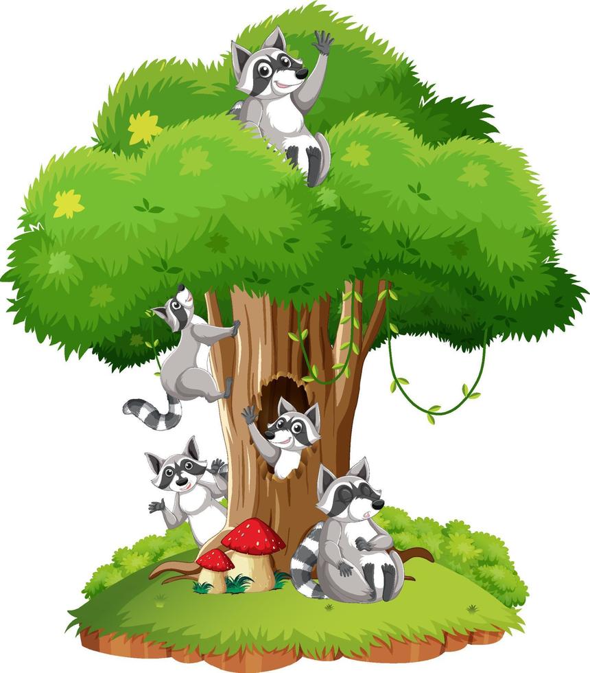 Many raccoons on the tree vector