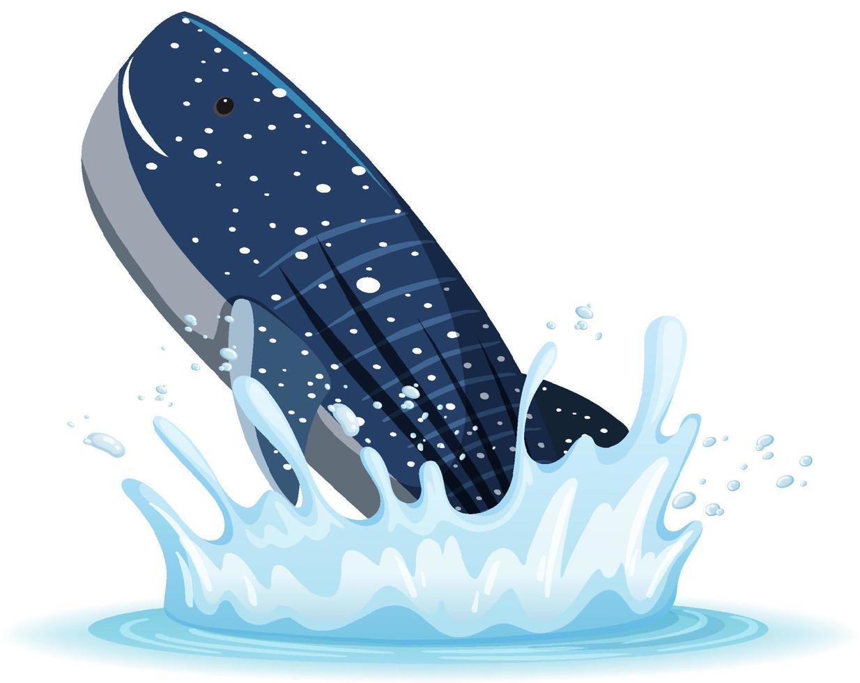 A water splash with whale on white background vector