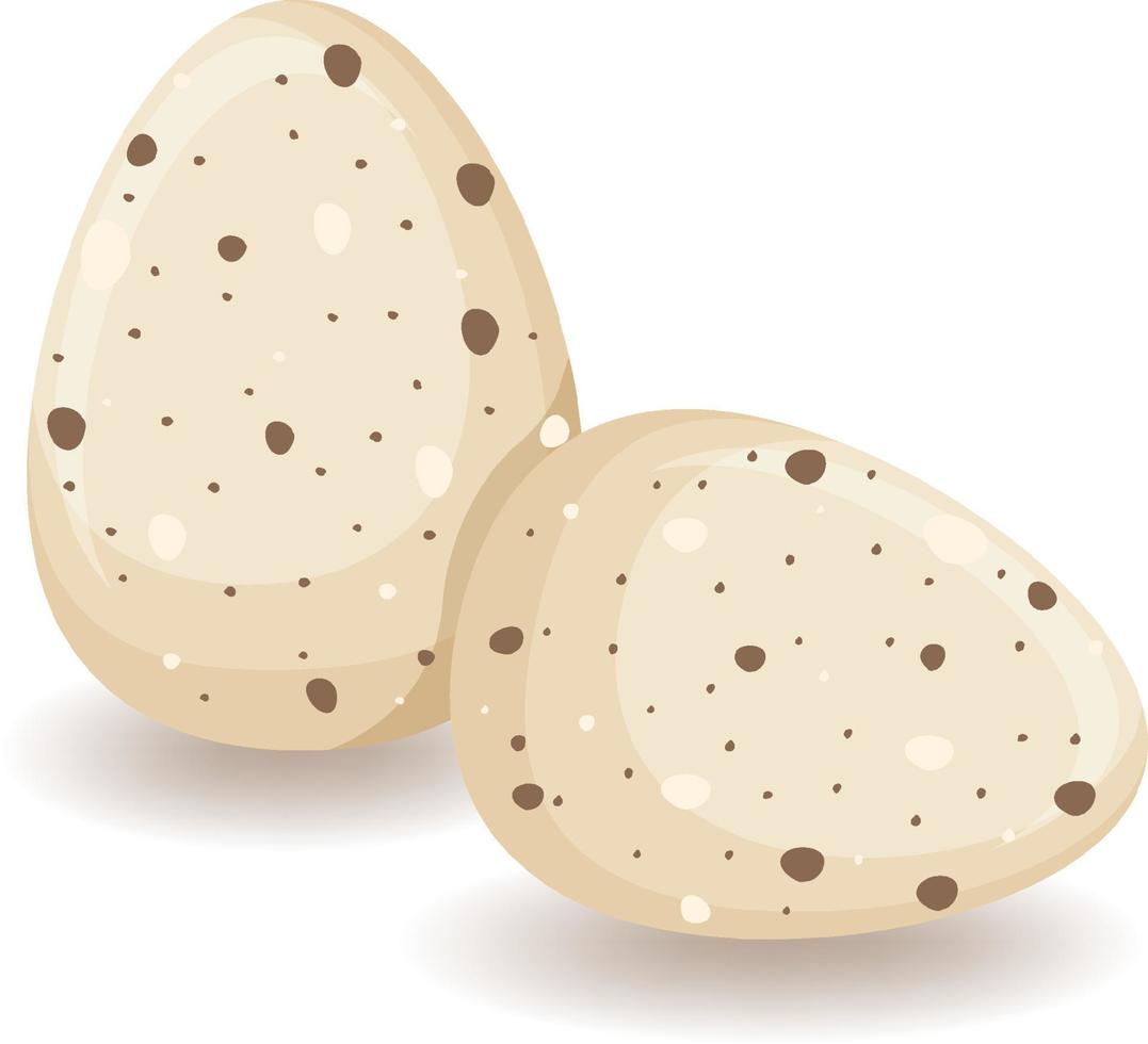 Two round eggs in brown vector