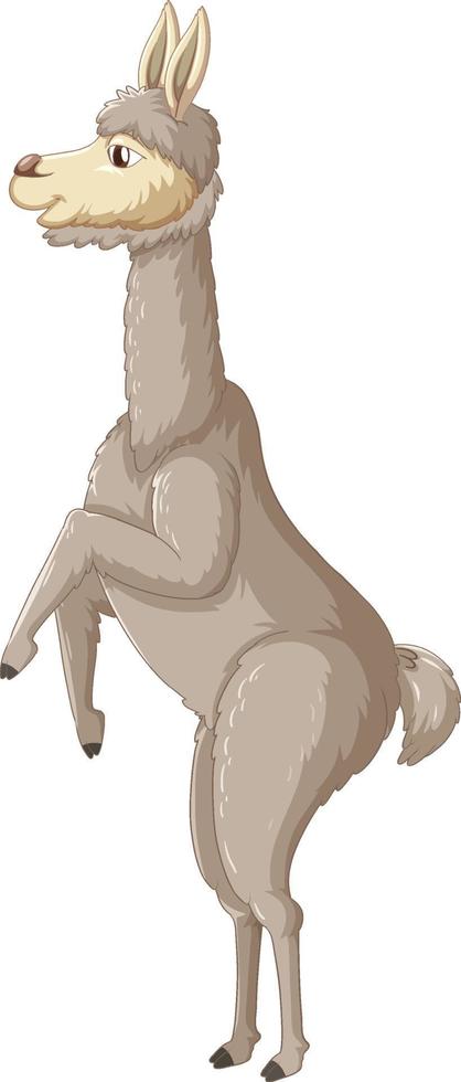 una alpaca sobre fondo blanco vector