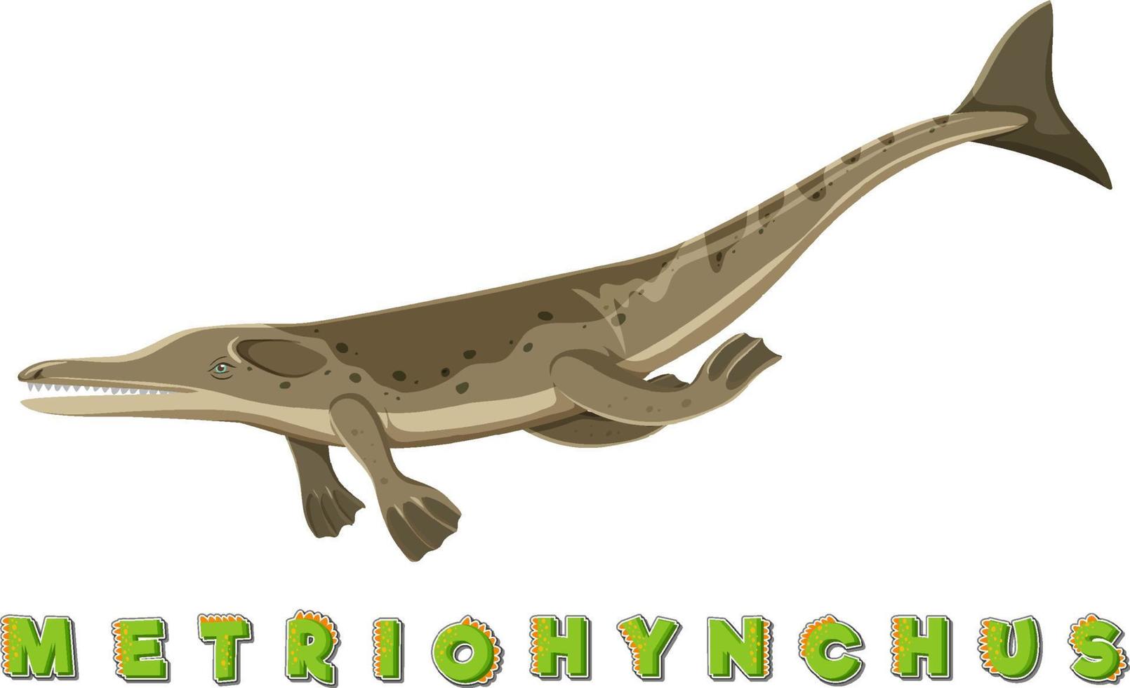 wordcard de dinosaurio para metriohynchus vector