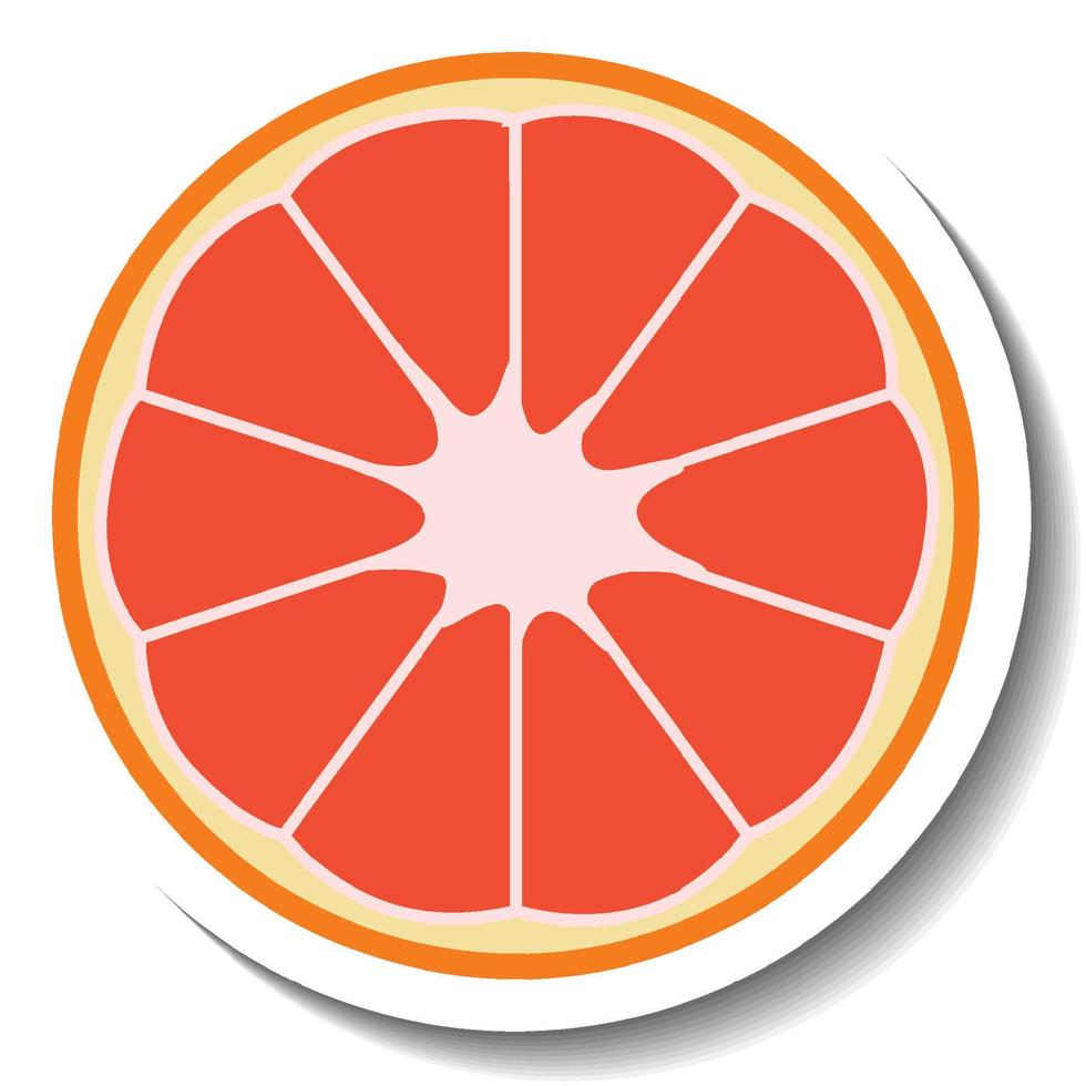 Sliced grapefruit in cartoon style vector
