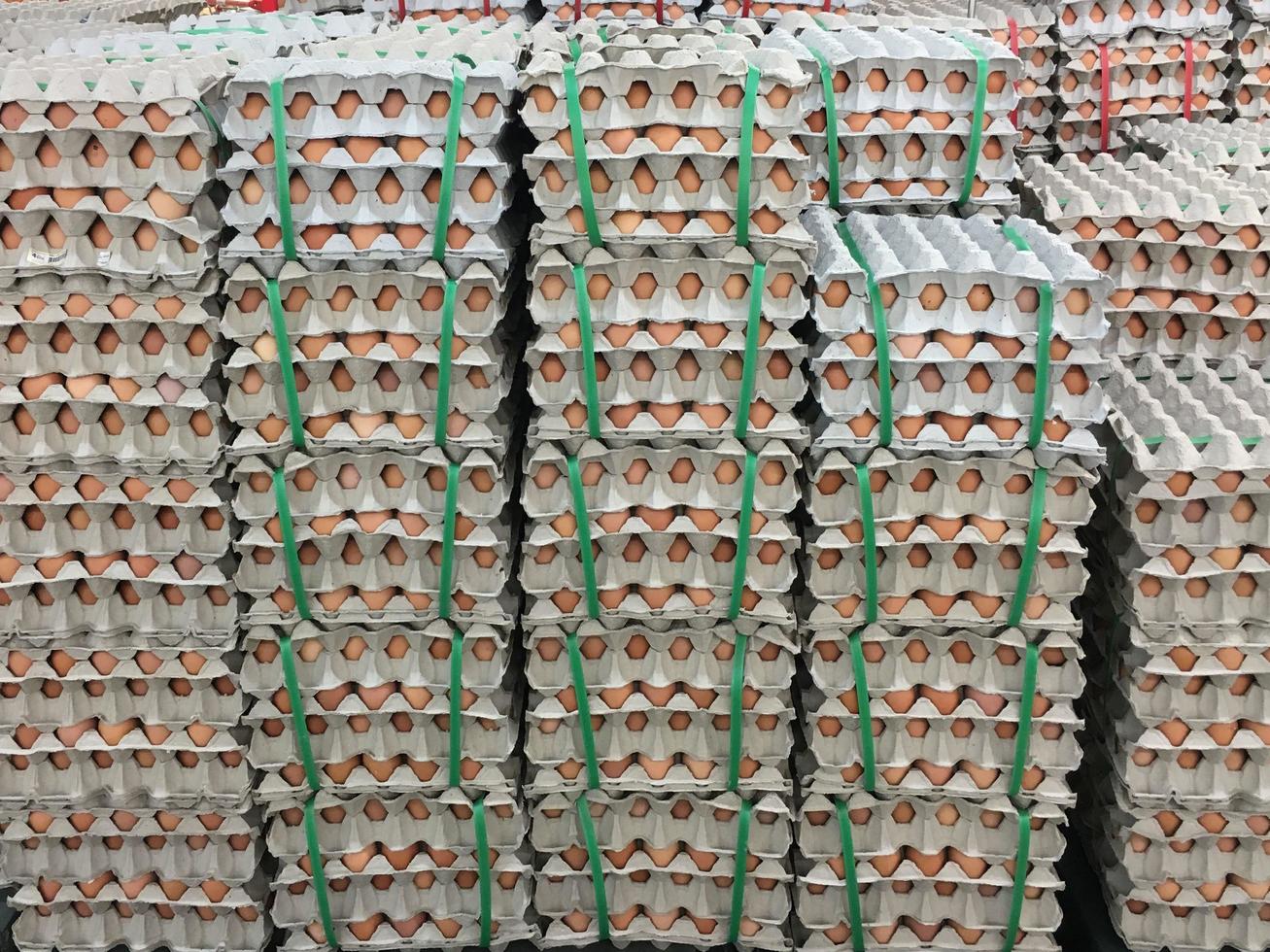 Eggs pack a lot of the same sort photo