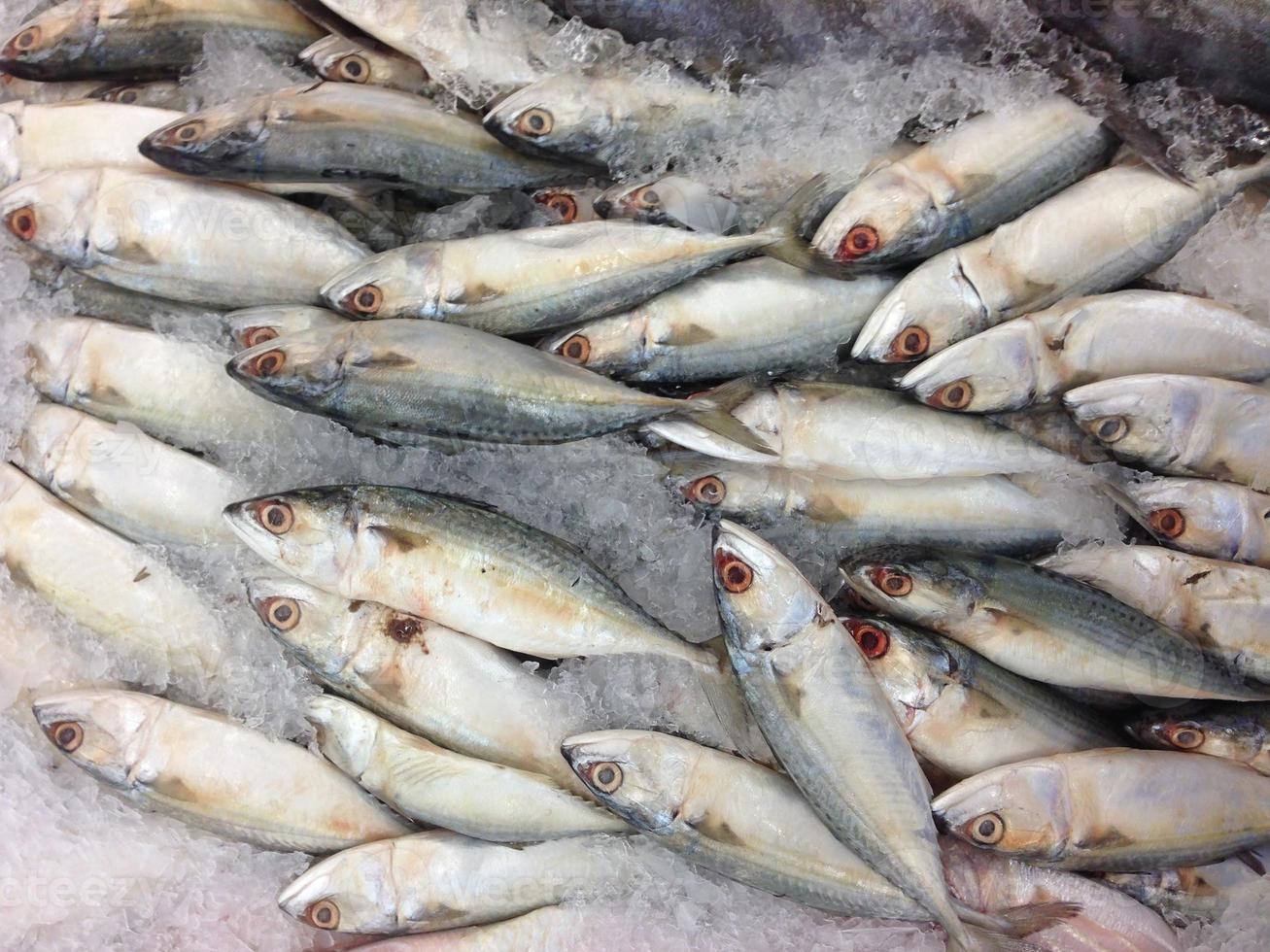 Many mackerel in the market photo