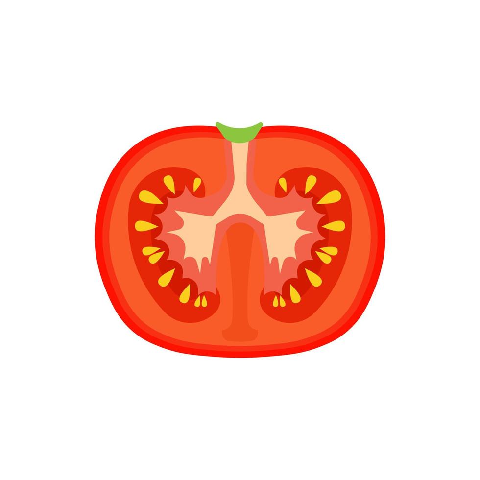 Tomato vegetarian natural isolated harvest vector. Summer food nature red vegetable cooking. Tasty illustration vegan fresh organic background. Plant icon cartoon color object. Product salad eating vector