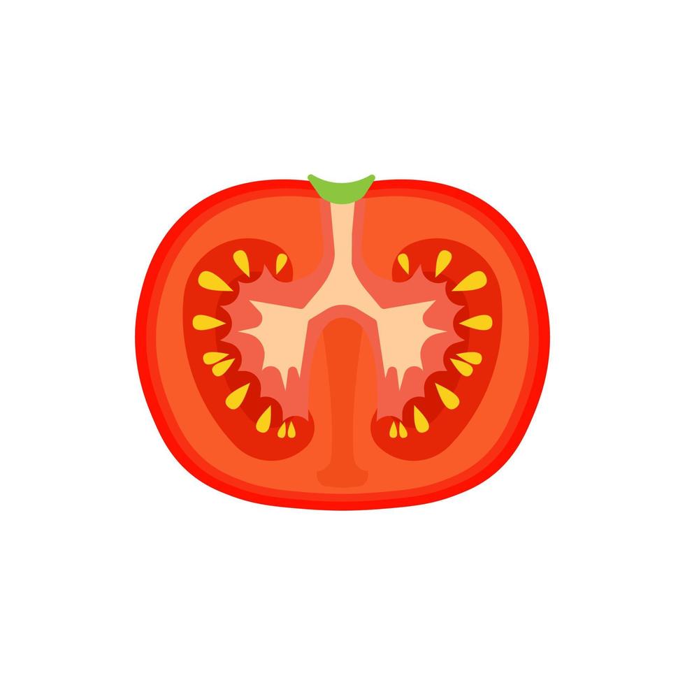 vector de cosecha aislado natural vegetariano de tomate. verano comida naturaleza rojo verdura cooking. ilustración sabrosa fondo orgánico fresco vegano. objeto de color de dibujos animados de icono de planta. comer ensalada de productos