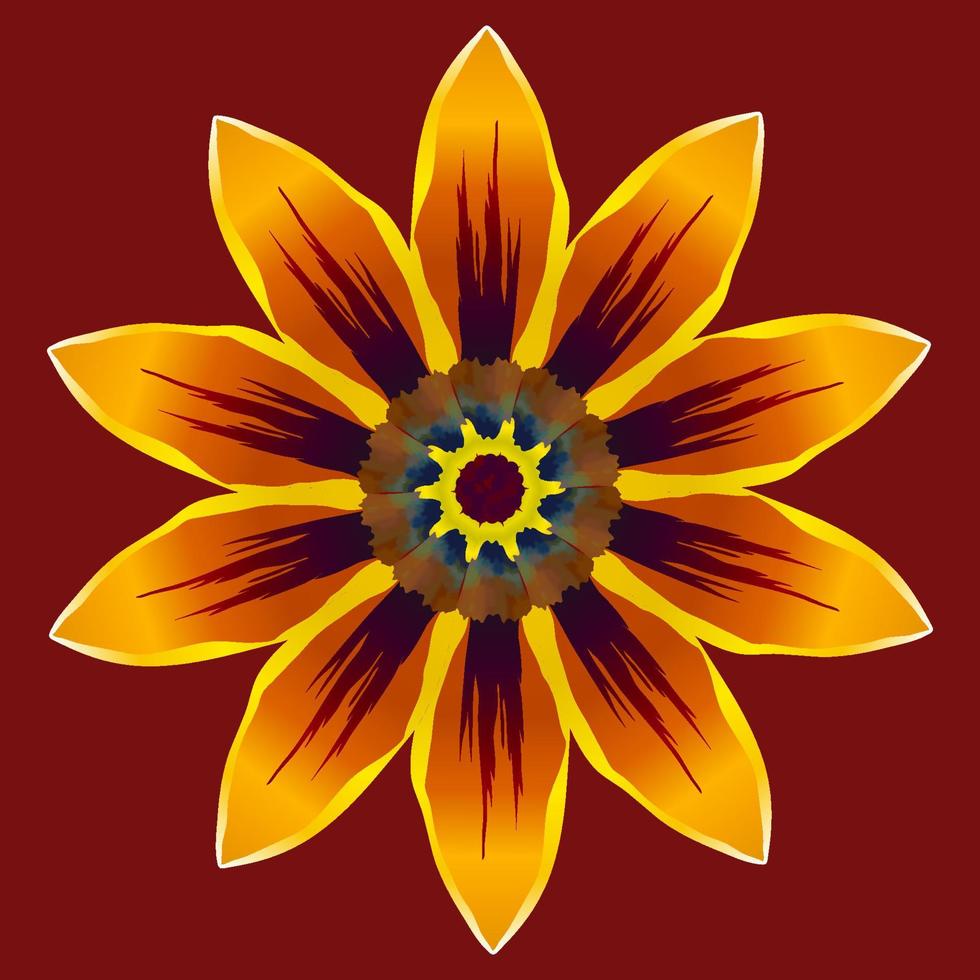 Large bright orange daisy flower or gazania on dark red background. Isolated vector illustration.