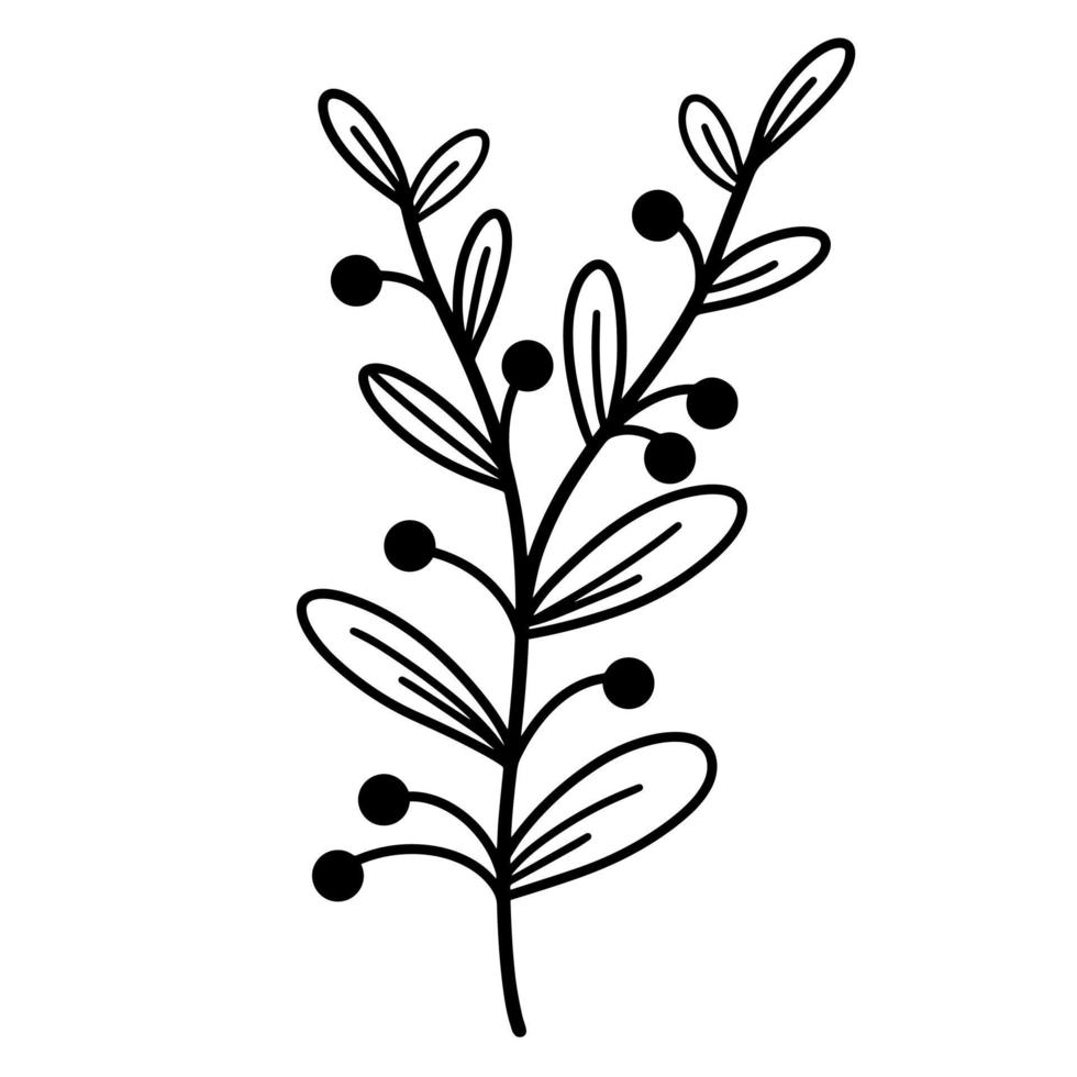 Vector botanical illustration of a branch with leaves and berries. Isolated icon on white background. Hand drawn black doodle