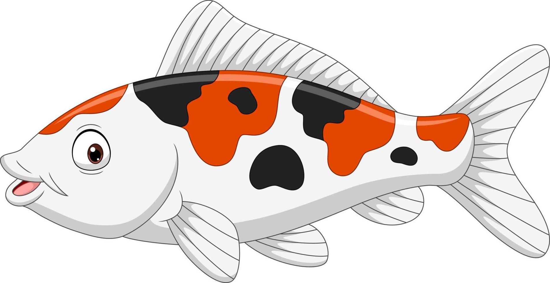 Cartoon funny koi fish on white background vector