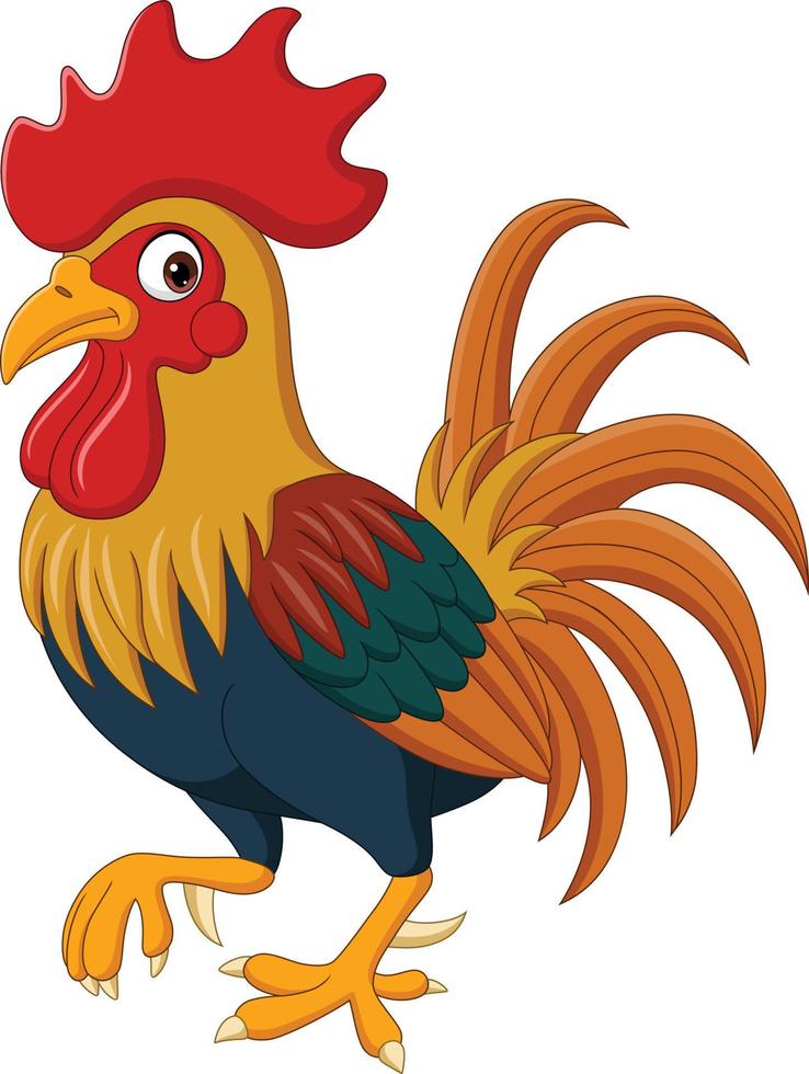 Cartoon funny rooster on white background vector