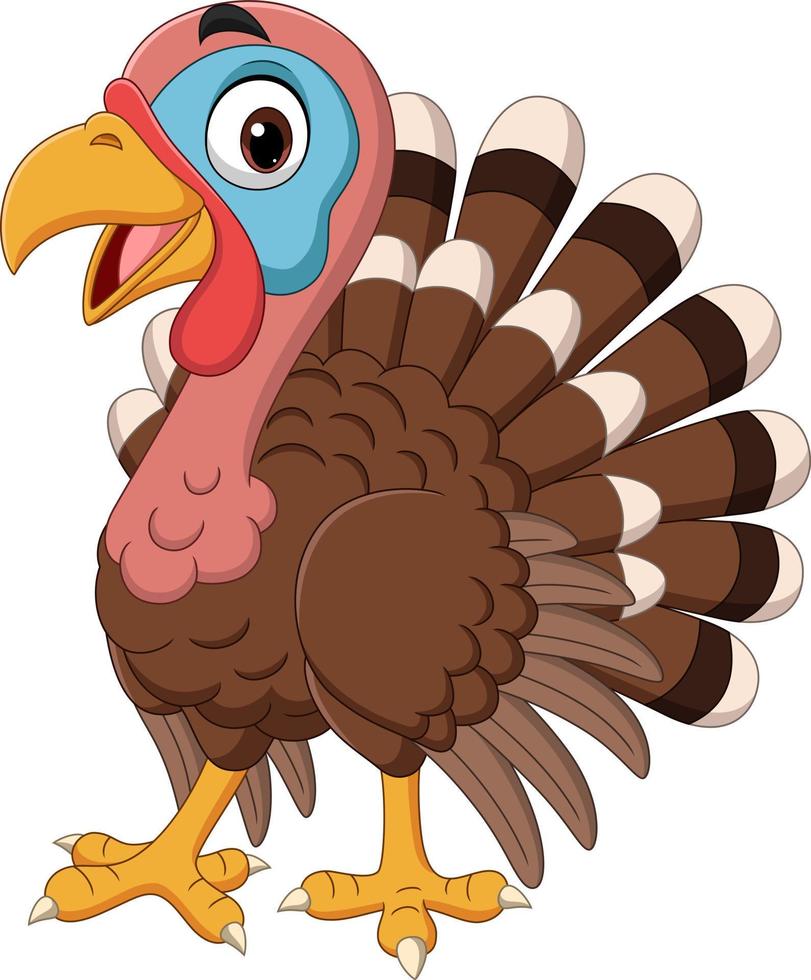 Cartoon happy turkey bird on white background vector