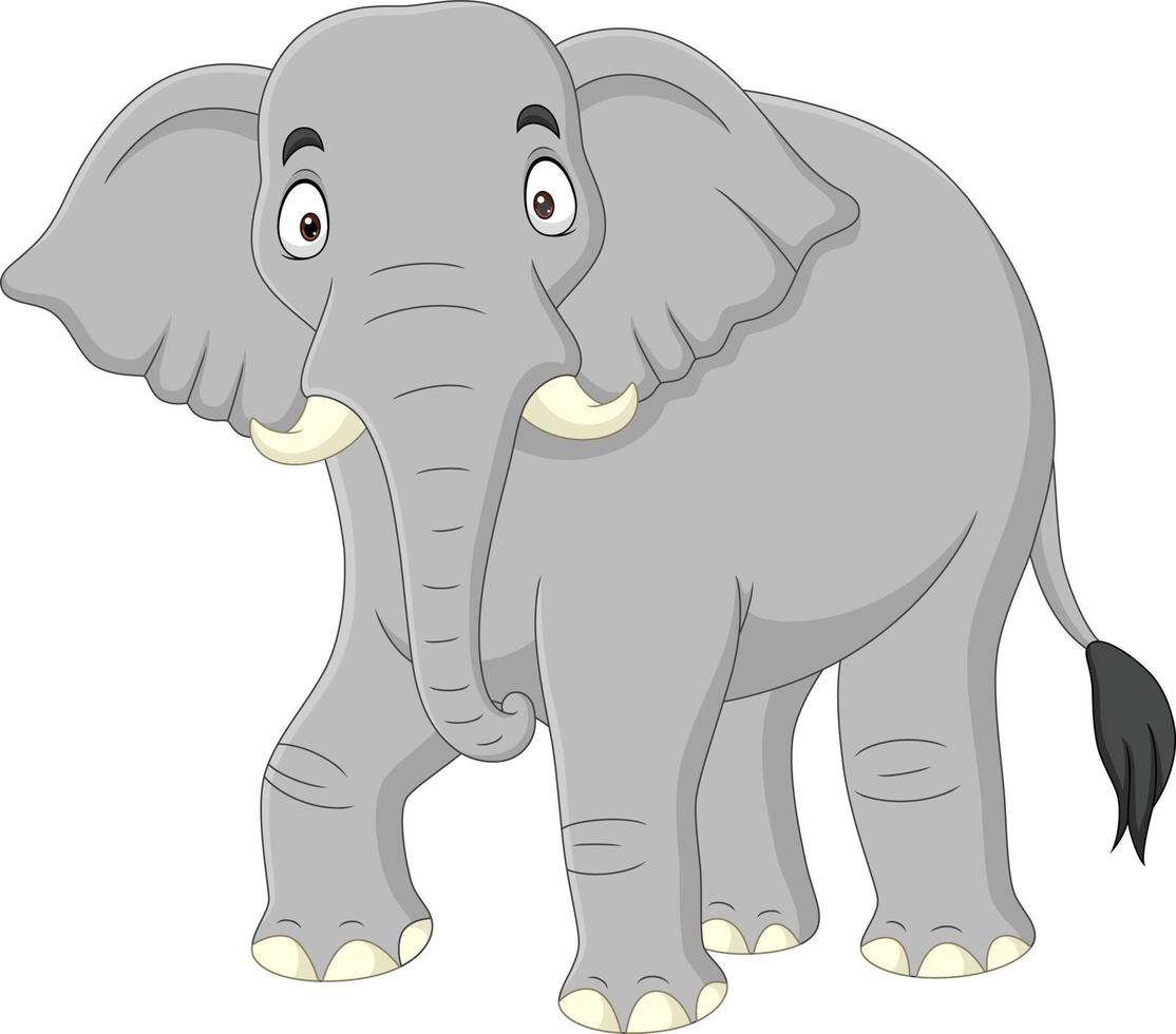 elefante de dibujos animados aislado sobre fondo blanco vector