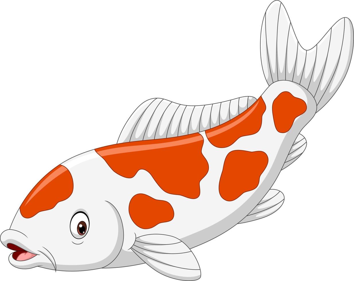 Cartoon koi fish on white background vector