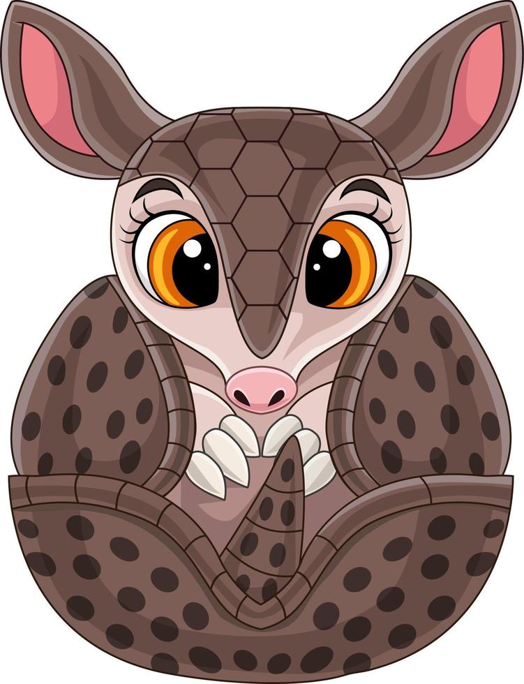 Cartoon cute baby armadillo rolled up vector