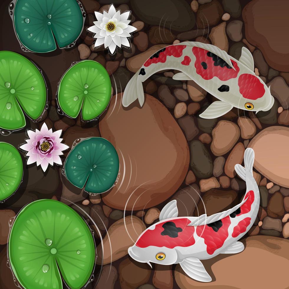 Cartoon koi fish swimming in water with leaves and lotus flowers vector