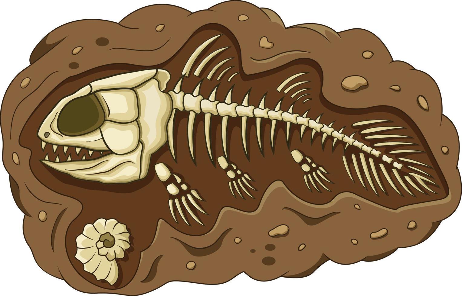 Illustration of coelacanth fish fossil vector