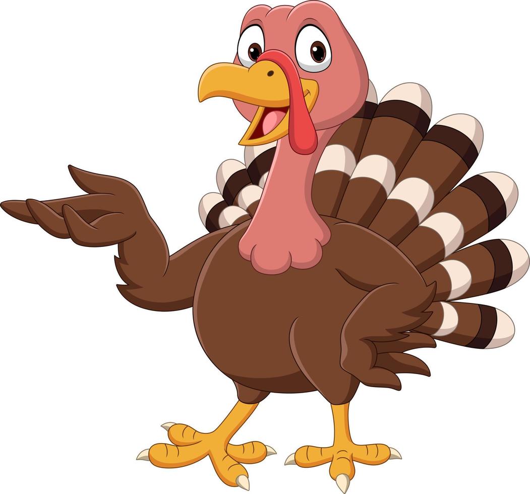 Cartoon turkey presenting on white background vector