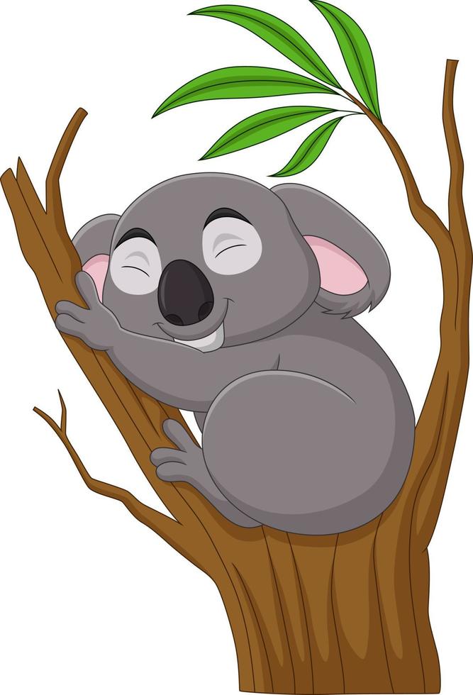 Cartoon koala sleeping on a tree branch vector