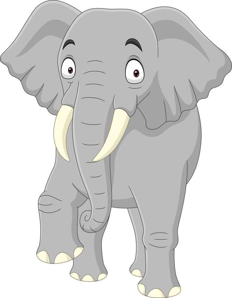 Cartoon elephant isolated on white background vector