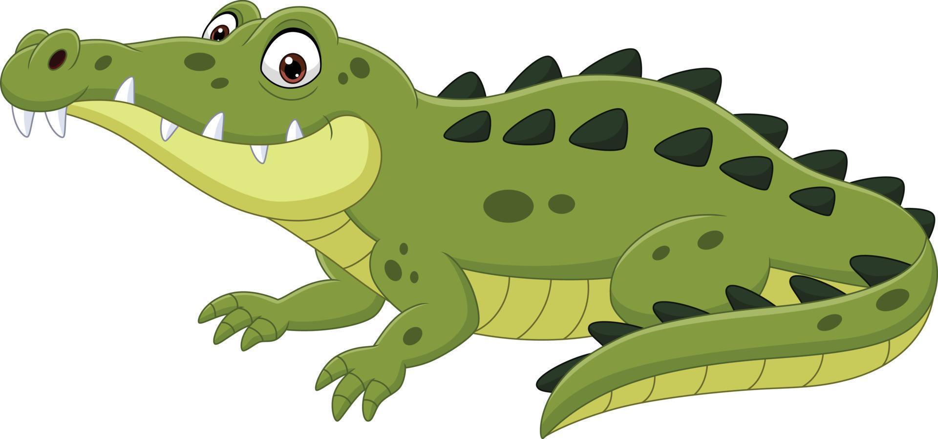 Cartoon crocodile isolated on white background vector