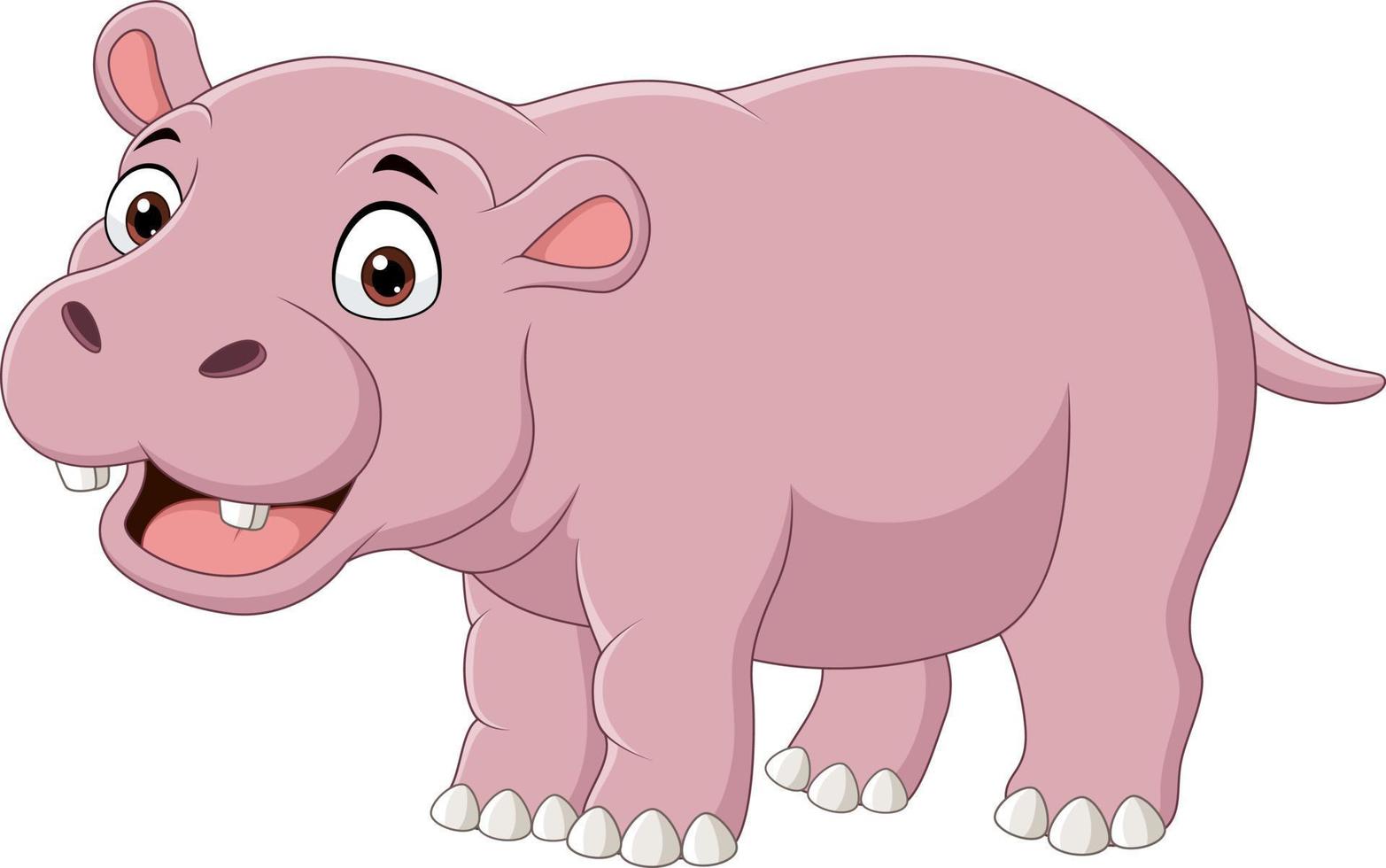 Cute smiling hippo on white background vector